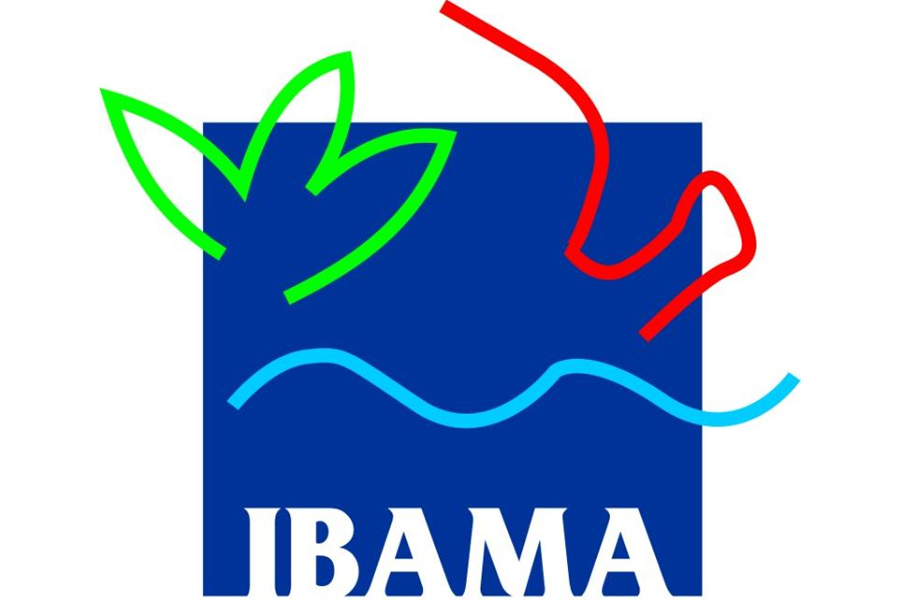 Relatório RAPP Ibama: Dicas para a preparação