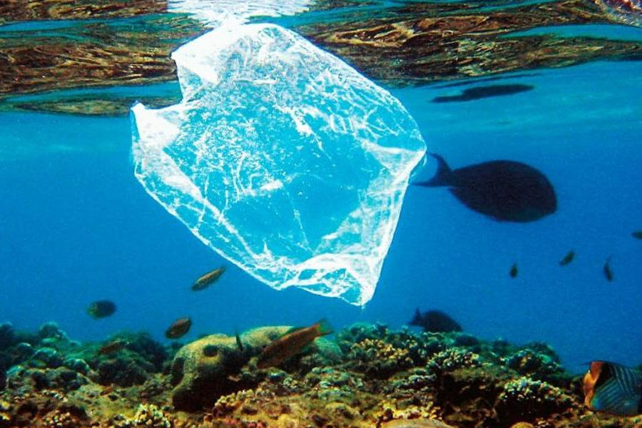 Descarte de resíduos: O que fazer com sacos plásticos?